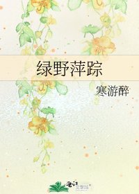 绿野萍踪